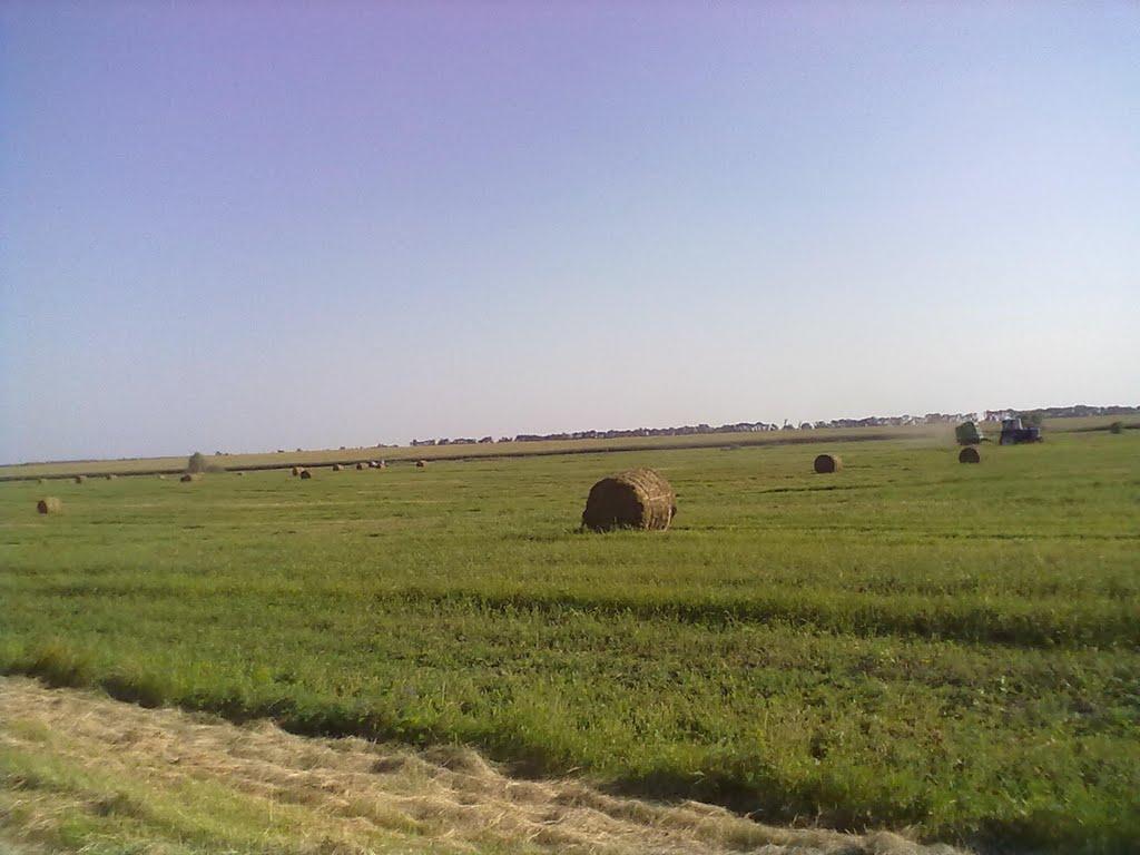 Великі Сорочинці з panoramio.com - Великие Сорочинцы