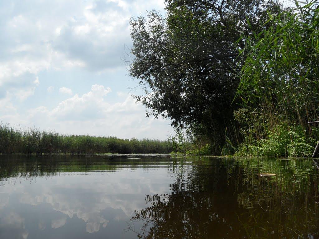 Литовка з panoramio.com - Литовка