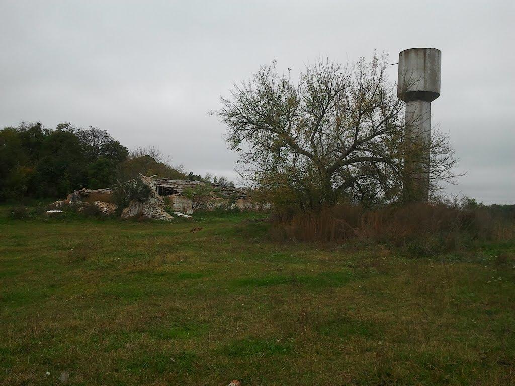 Закружці з panoramio.com - Закружцы