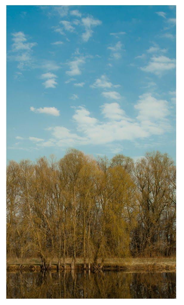 Новосілки з panoramio.com - Новоселки