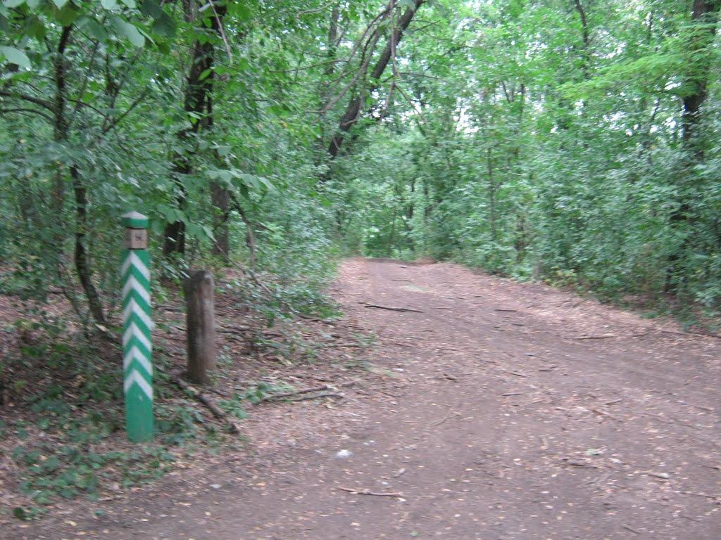 Зайцеве з panoramio.com - Зайцеве