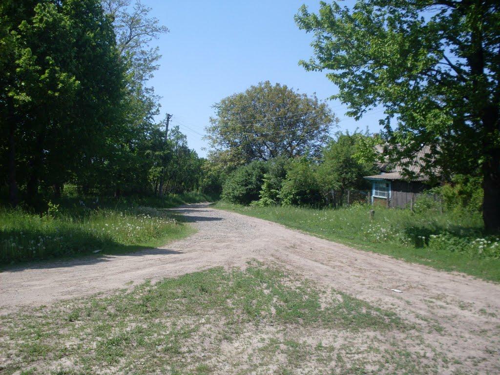 Млинки з panoramio.com - Млынки