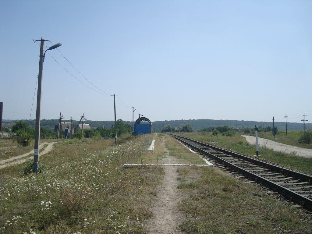 Велика Слобідка з panoramio.com - Великая Слободка