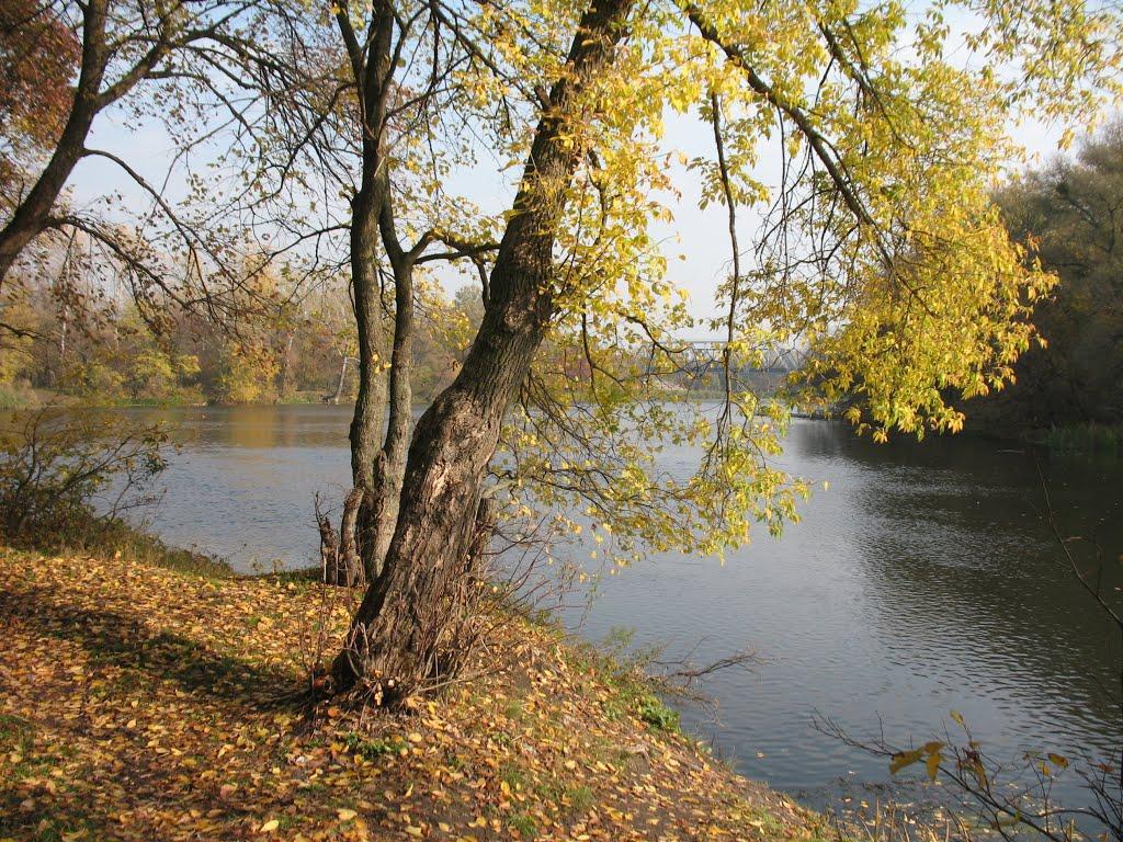 Черемушне з panoramio.com - Черемушное