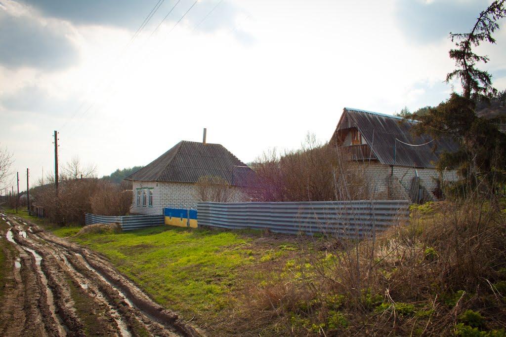 Новомлинськ з panoramio.com - Новомлинск