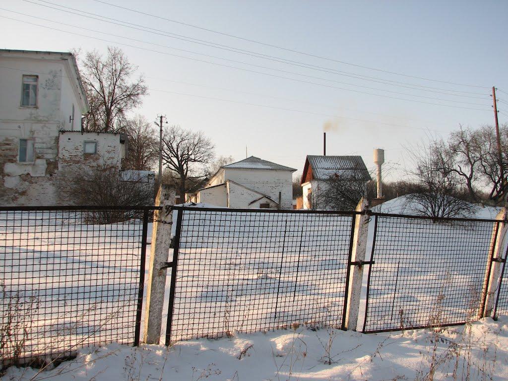 Мерло з panoramio.com - Мерло