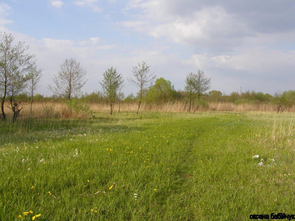 Павлівка з panoramio.com - Павлівка