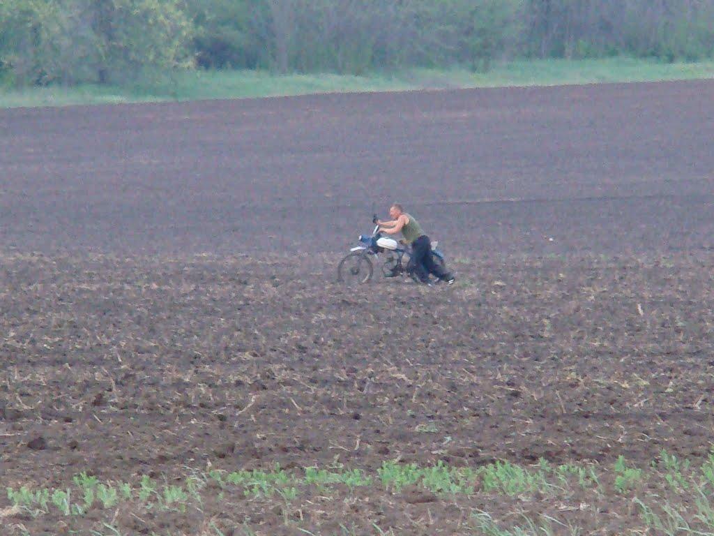 Червоногірка з panoramio.com - Червоногорка