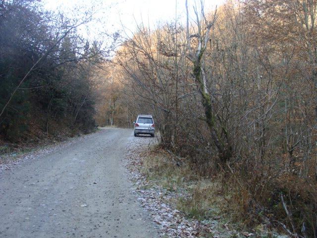 Бедевля з panoramio.com - Бедевля