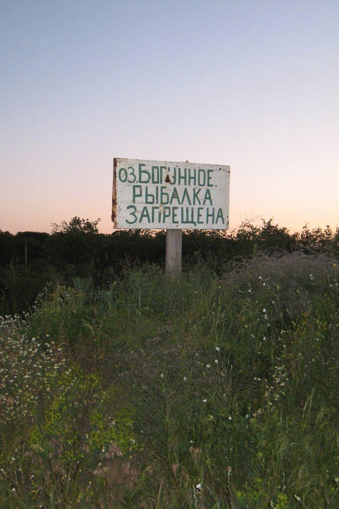 Болотене з panoramio.com - Bolotene