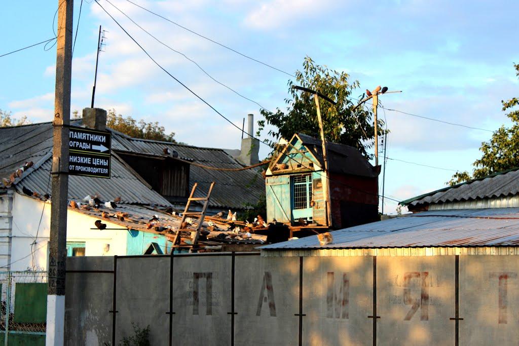 Новий Буг з panoramio.com - Новий Буг