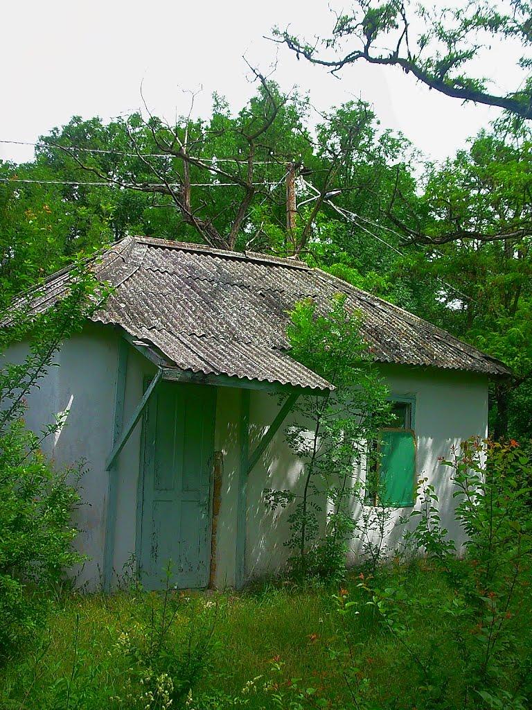Краснолісся з panoramio.com - Краснолесье