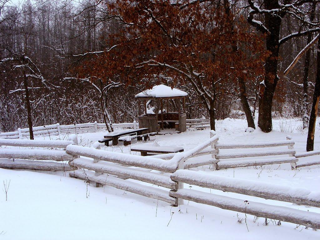 Шишаки з panoramio.com - Шишаки