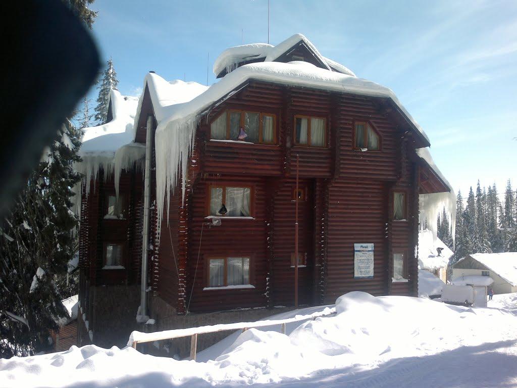 Чорна Тиса з panoramio.com - Черная Тиса