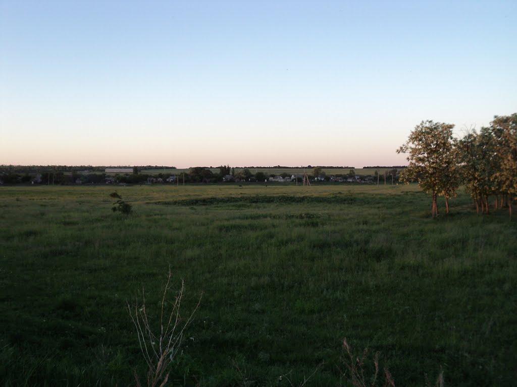 Комар з panoramio.com - Комар