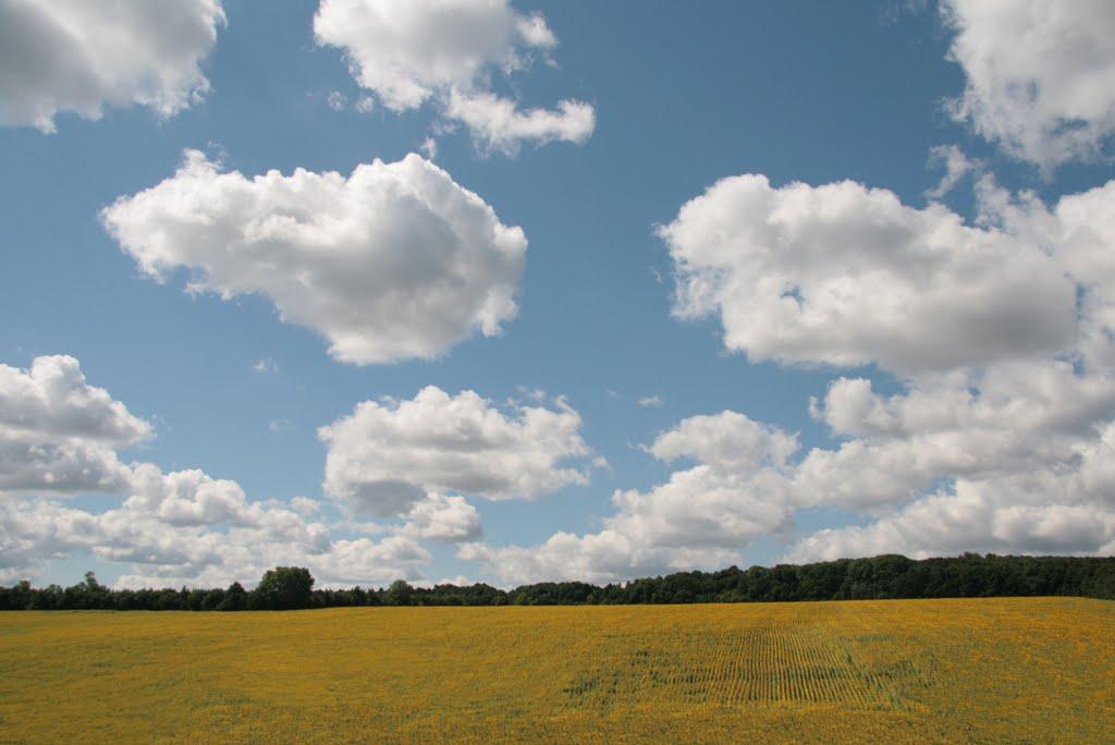 Сутківці з panoramio.com - Сутковцы