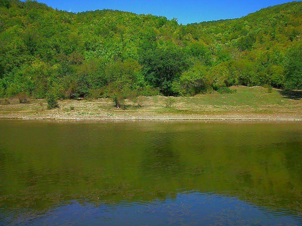 Синапне з panoramio.com - Синапне