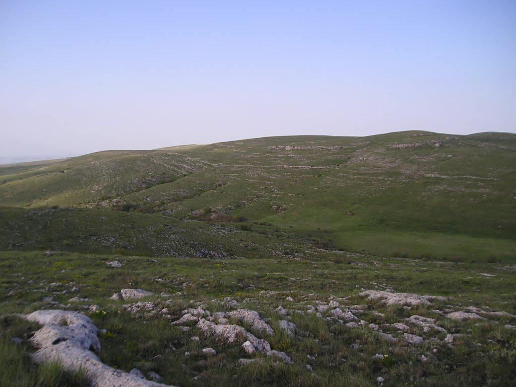 Пчолине з panoramio.com - Пчелиное