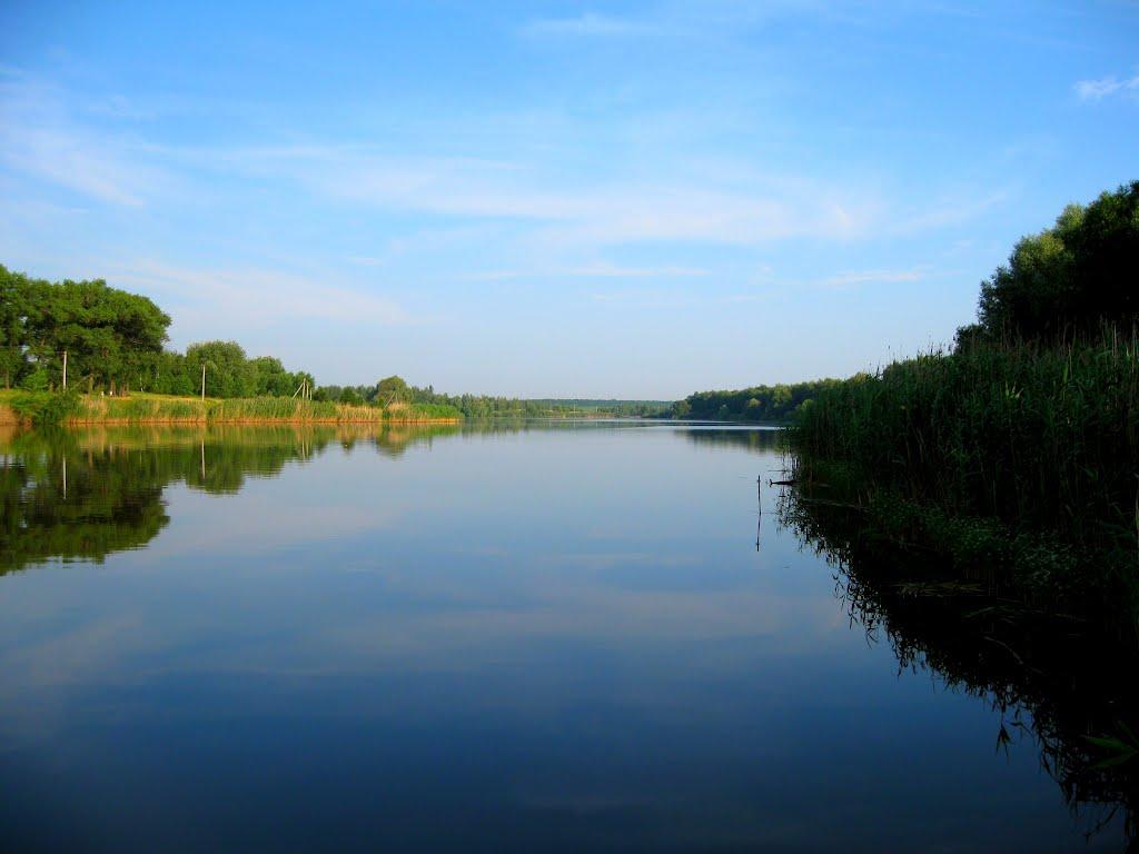 Василе-Устимівка з panoramio.com - Василе-Устимівка