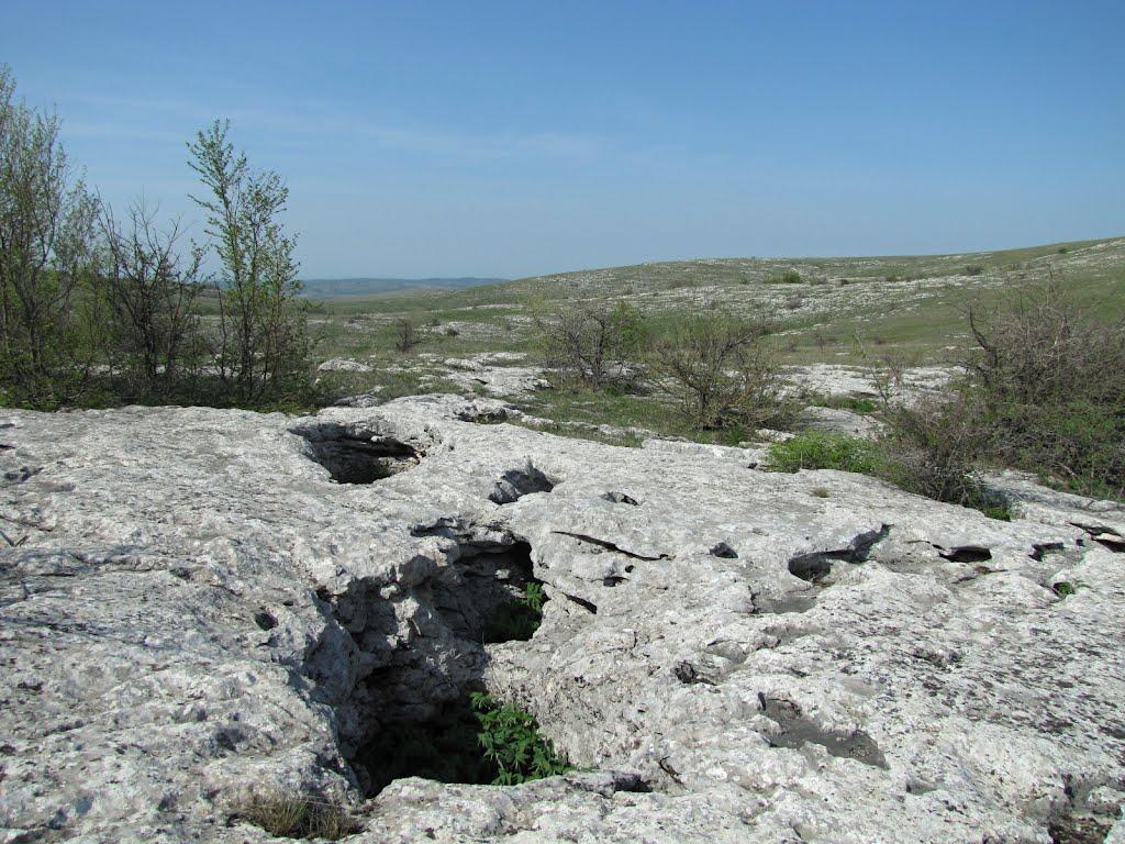 Пчолине з panoramio.com - Pcholyne