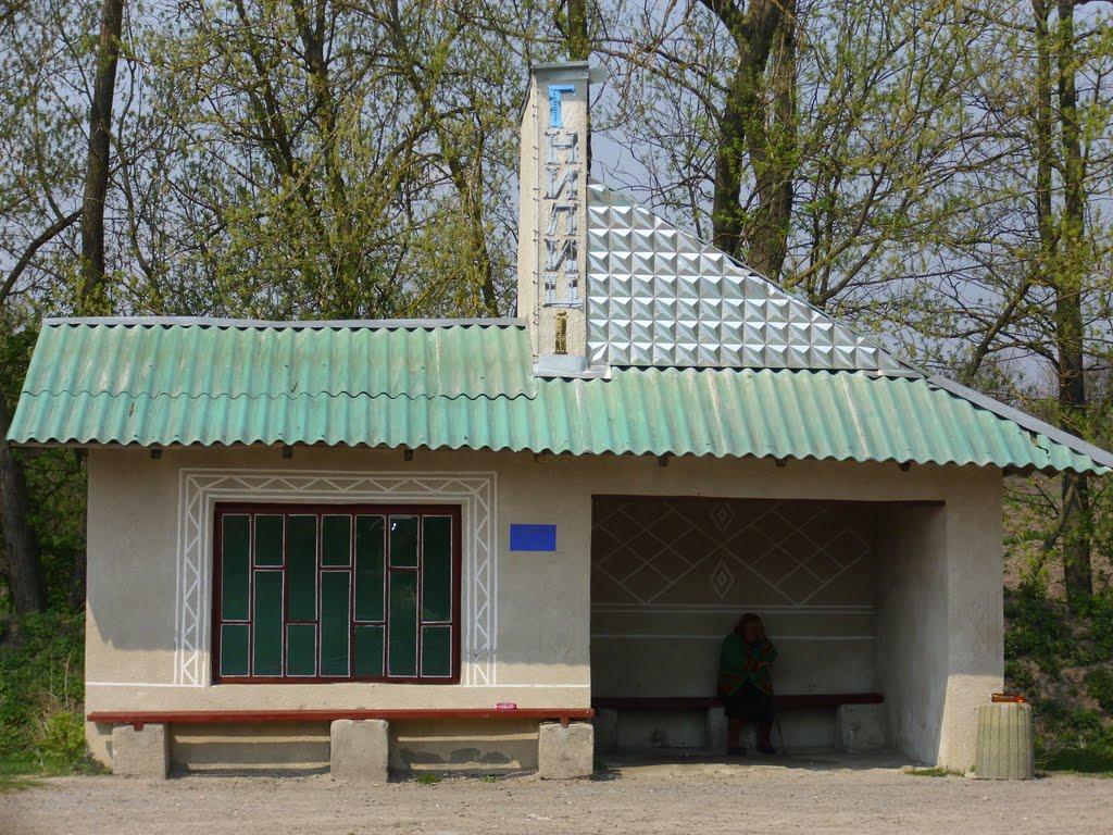 Гнилиці з panoramio.com - Гнилиці