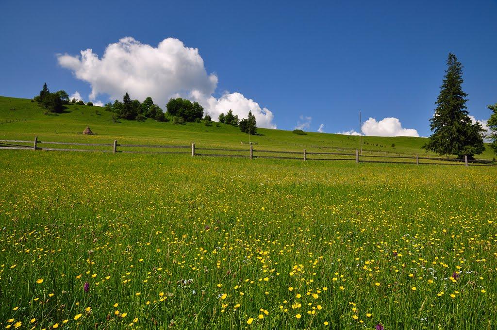 Кривопілля з panoramio.com - Кривополье