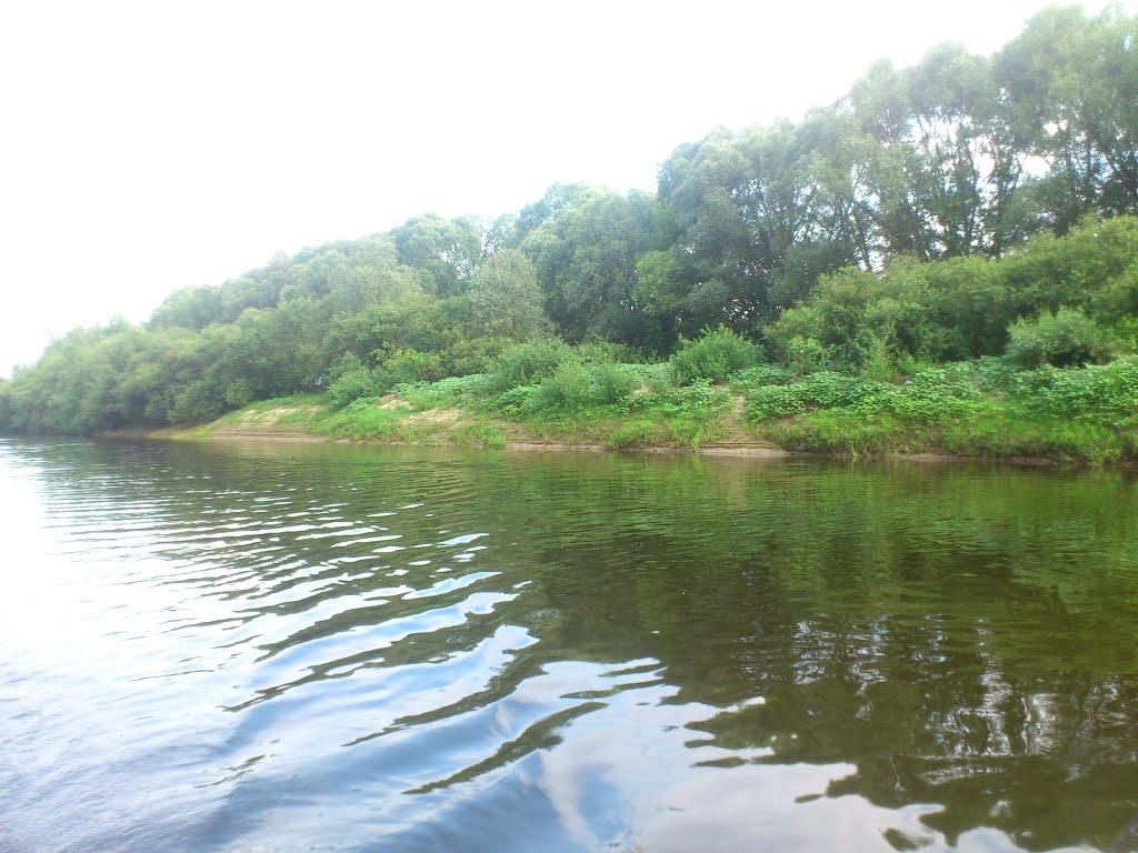 Клочків з panoramio.com - Клочків