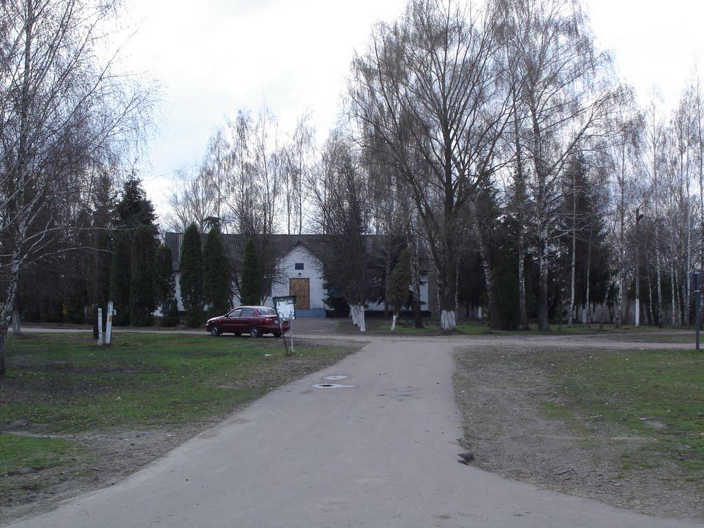 Григорівка з panoramio.com - Григоровка