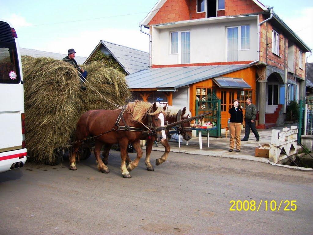 Тересва з panoramio.com - Тересва