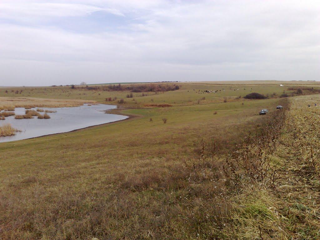 Кислицьке з panoramio.com - Кислицьке