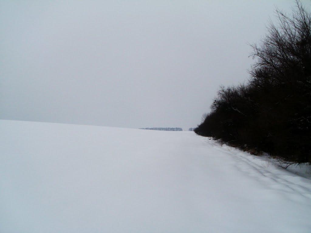 Млинки з panoramio.com - Млынки