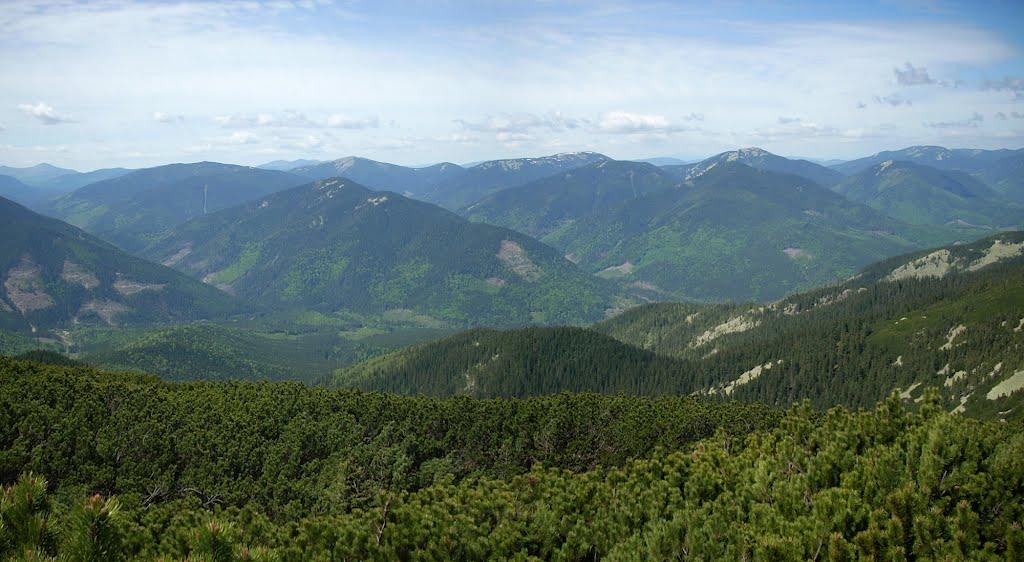 Осмолода з panoramio.com (ч.2) - Осмолода