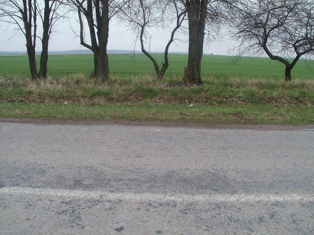 Оратів з panoramio.com - Оратів