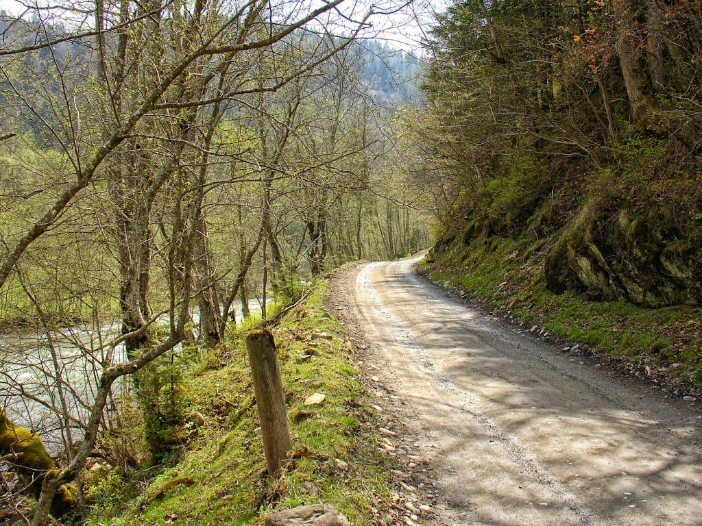 Явірник з panoramio.com - Явірник