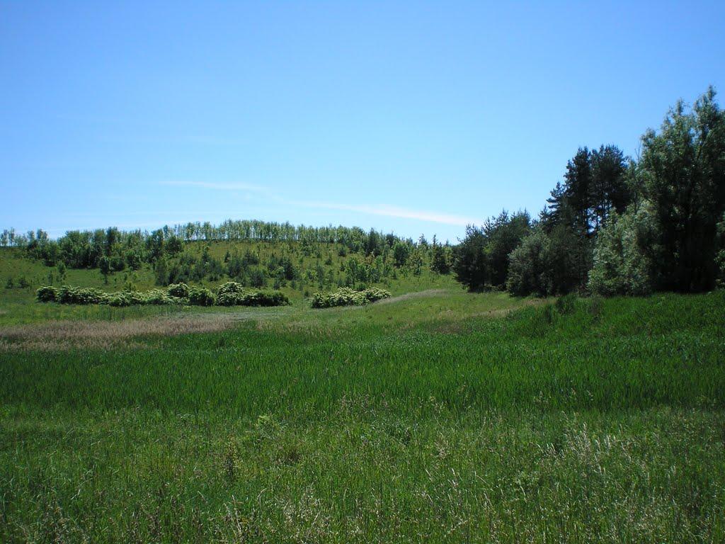 Махаринці з panoramio.com - Махаринцы