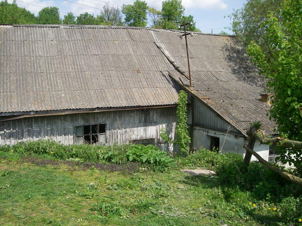 Матвіївці з panoramio.com - Матвеевцы