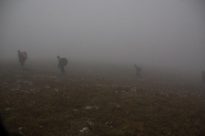 Пчолине з panoramio.com - Пчелиное