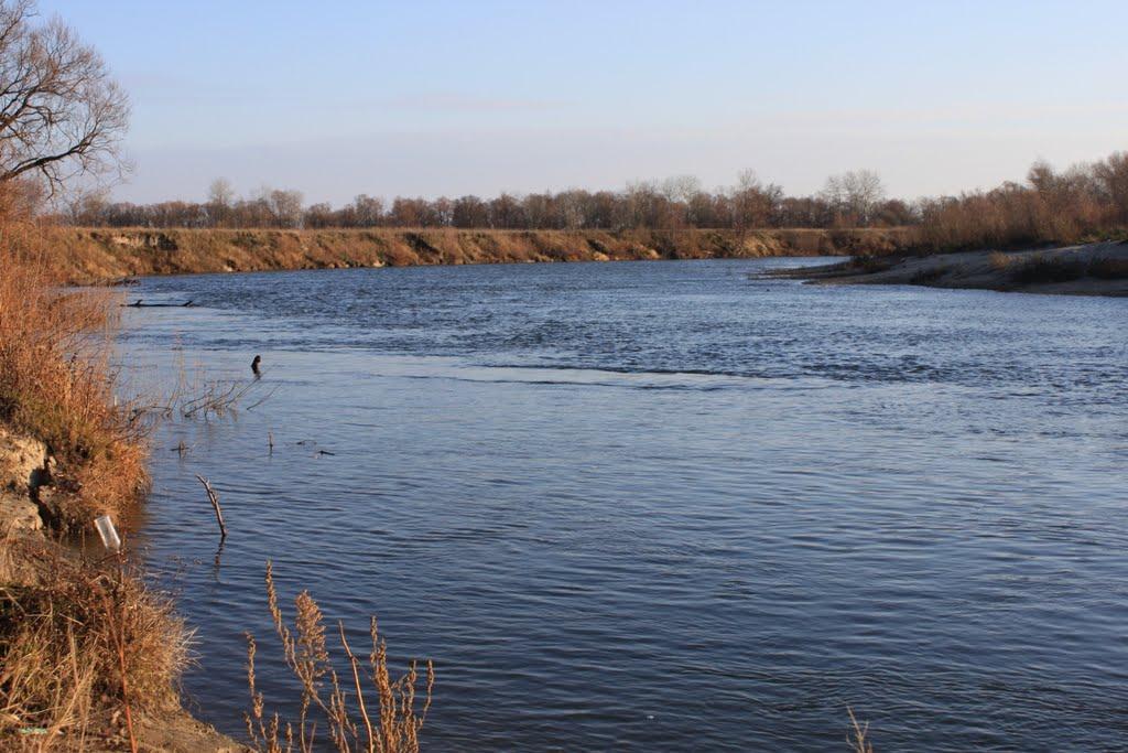 Пекарів з panoramio.com - Пекарів