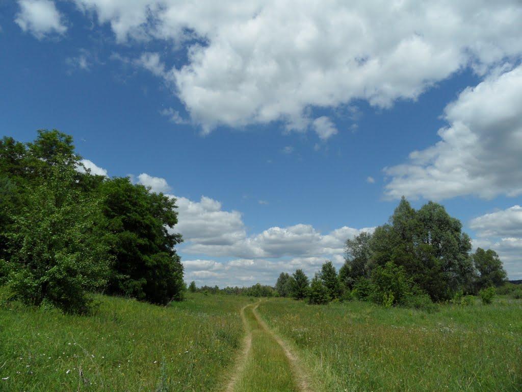 Литовка з panoramio.com - Литовка