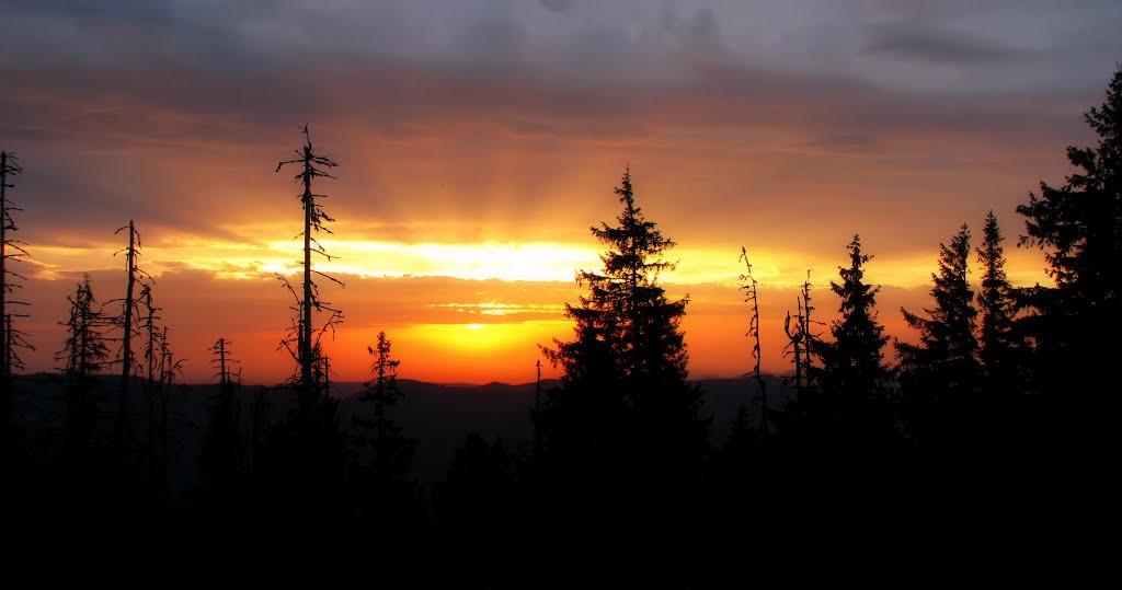 Максимець з panoramio.com - Максимец