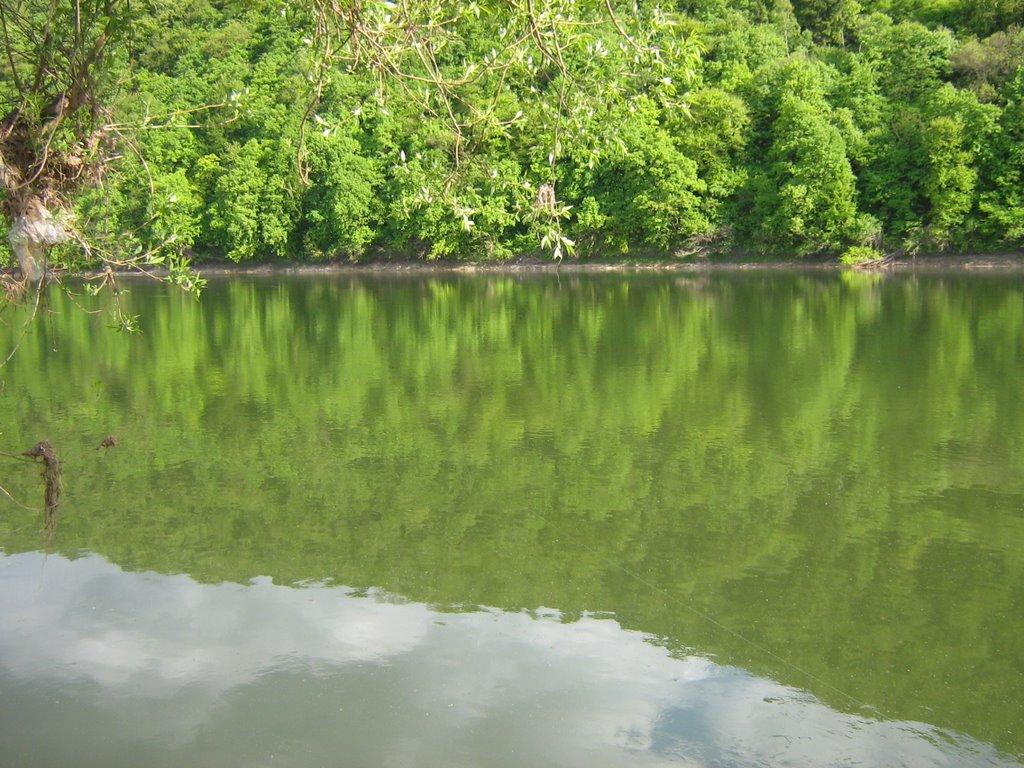 Петрилів з panoramio.com - Петрилів