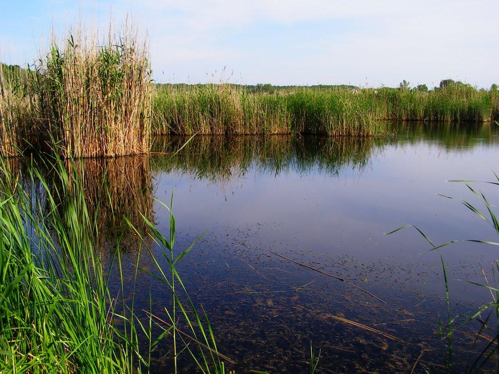 Могилів з panoramio.com - Могилев
