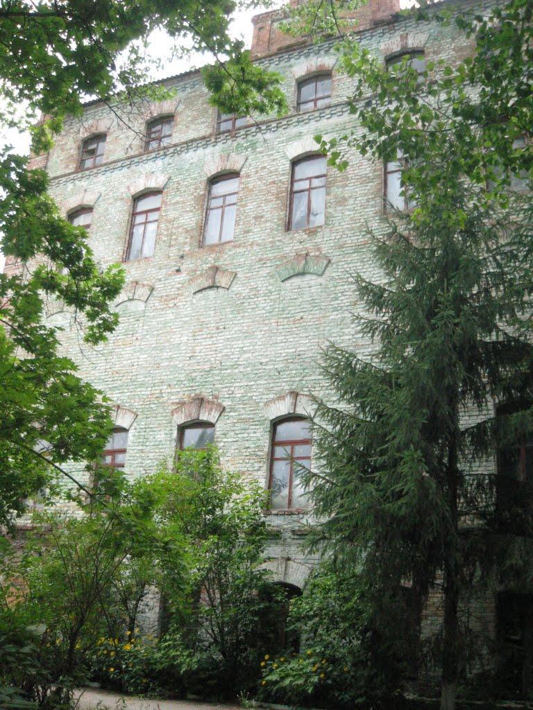 Лебедин з panoramio.com - Lebedyn