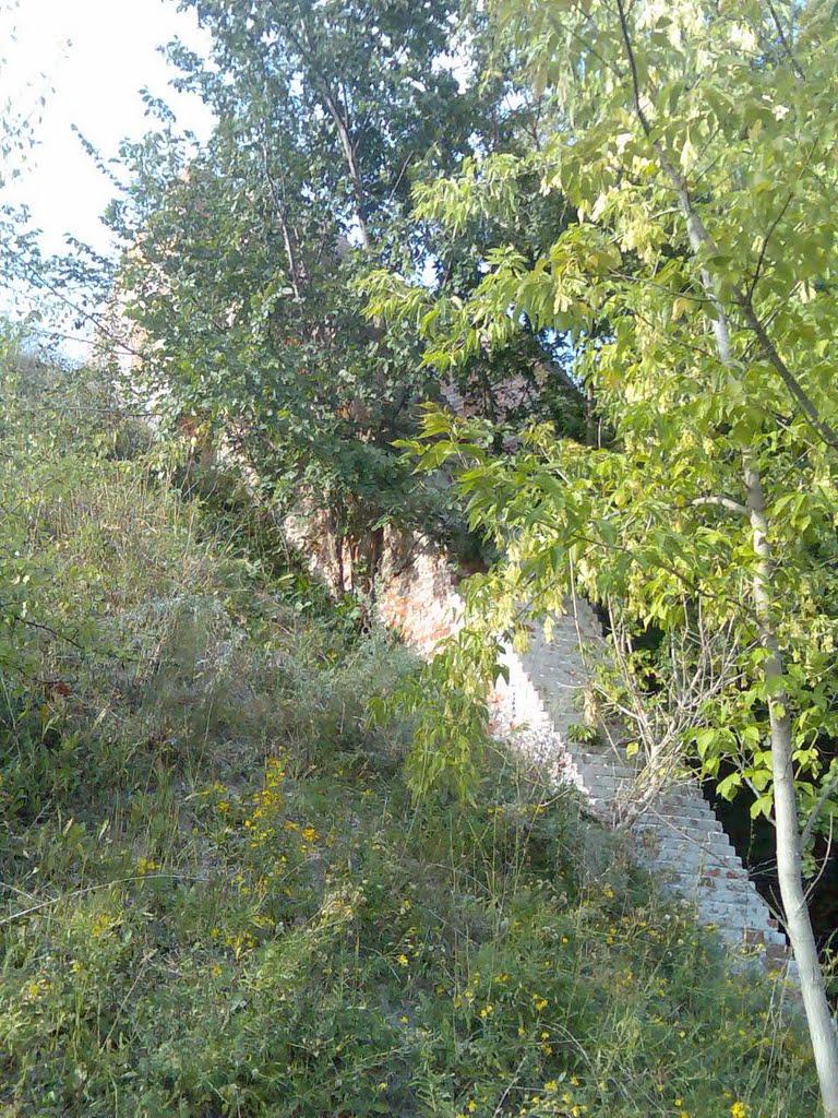 Гірки з panoramio.com - Горки