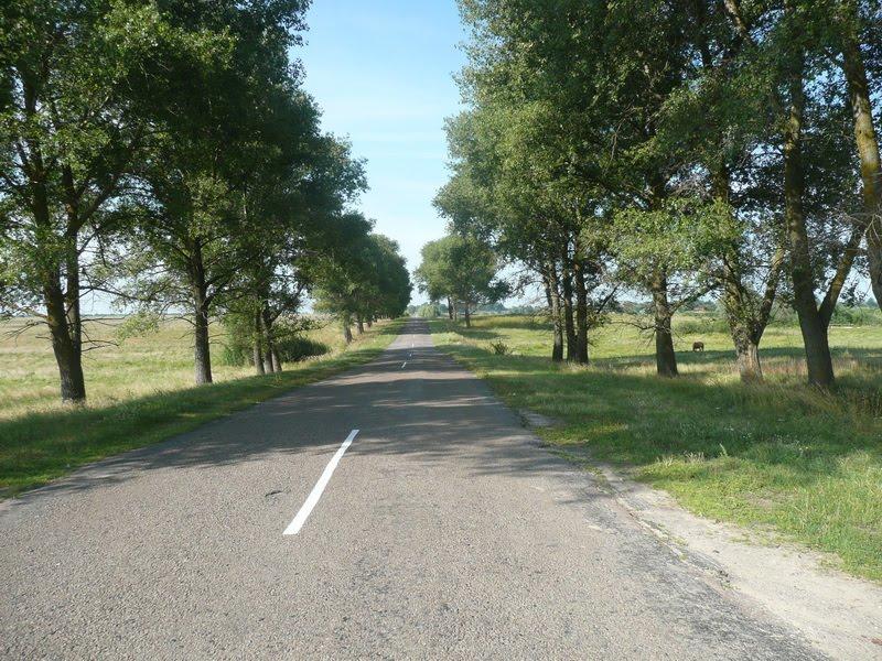 Петруші з panoramio.com - Петруши