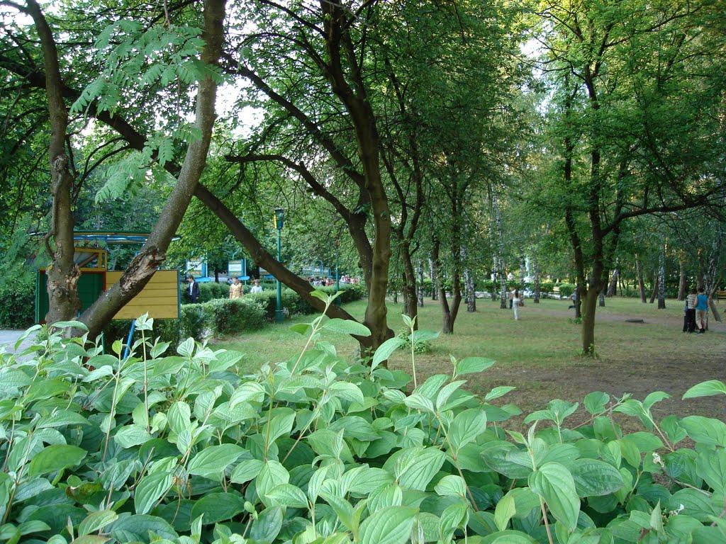 Могилів з panoramio.com - Могилев