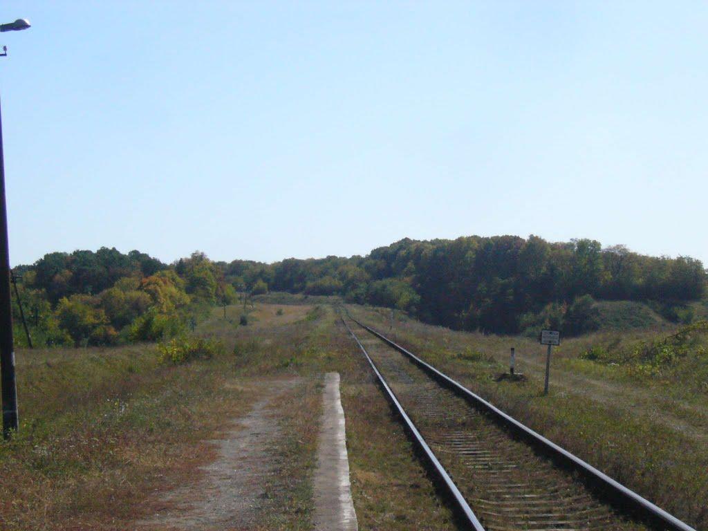 Кордонівка з panoramio.com - Кордонівка