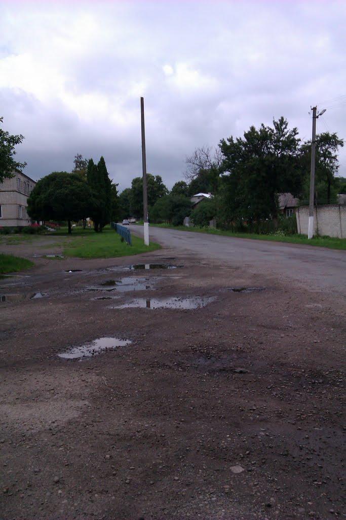 Старий Яричів з panoramio.com - Старий Яричів