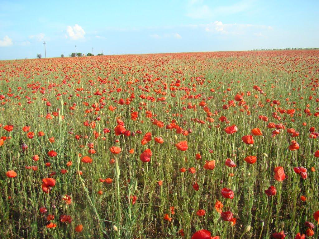 Іллінка з panoramio.com - Illinka