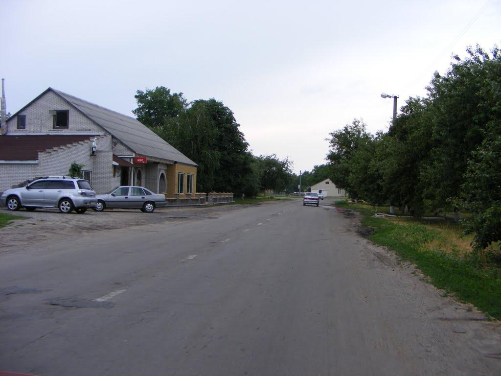 Шишаки з panoramio.com - Шишаки